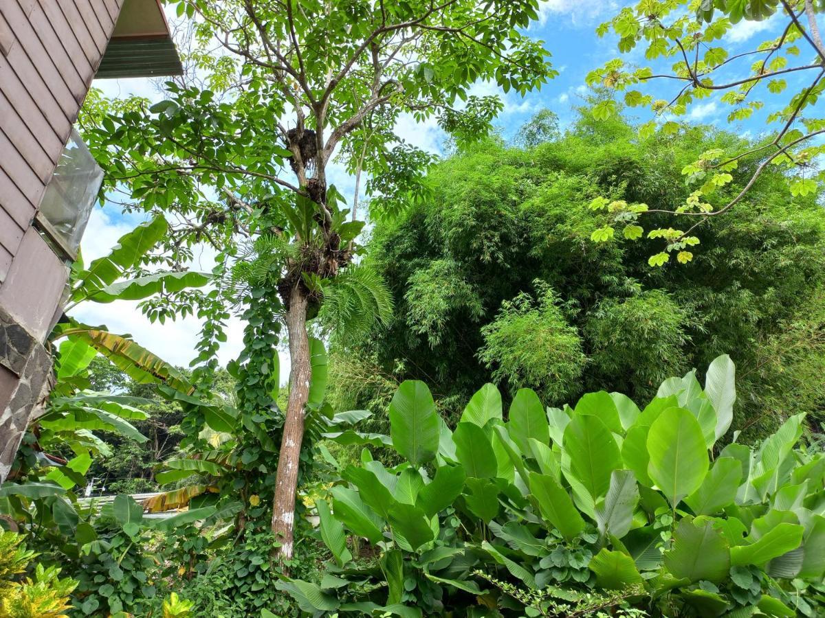 Bed and Breakfast Sunrise House Quepos Exterior foto