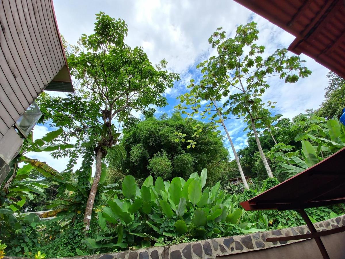 Bed and Breakfast Sunrise House Quepos Exterior foto